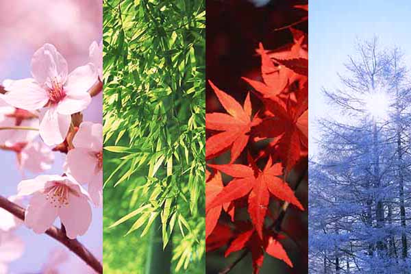 四季の色 季節を彩る日本の伝統色 和色 の名前と由来